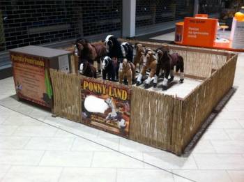 Pronájem Ponnylandu